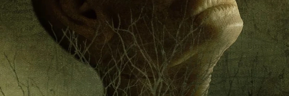 Bandes originales de la saison 2 de Hellier