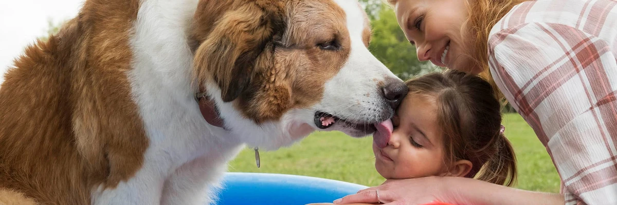 Bandas sonoras de El viaje de un perro
