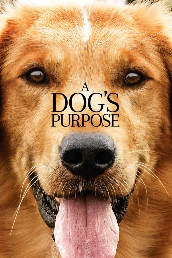 Soundtracks from A Dog's Purpose