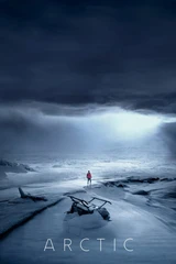 Bandes originales du film arctique
