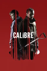 Bandas sonoras de calibre