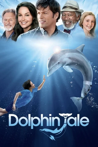 Mein Freund, der Delfin