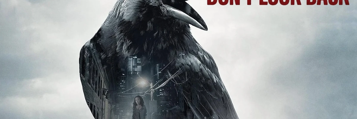 Soundtracks aus dem Film Don't Look Back