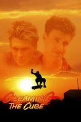 Soundtracks from Gleaming the Cube