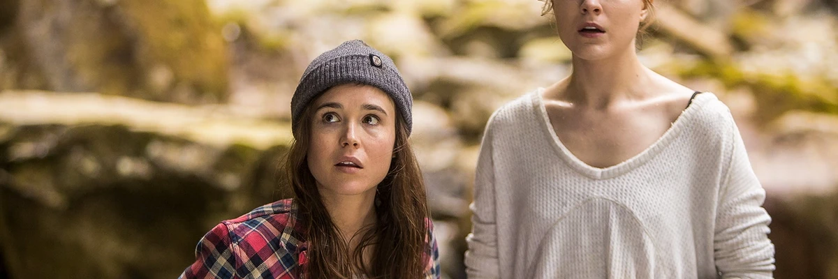 Soundtracks from Into the Forest