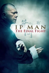 Bandas sonoras de Ip Man: La lucha final