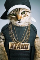 Bandas sonoras de Keanu