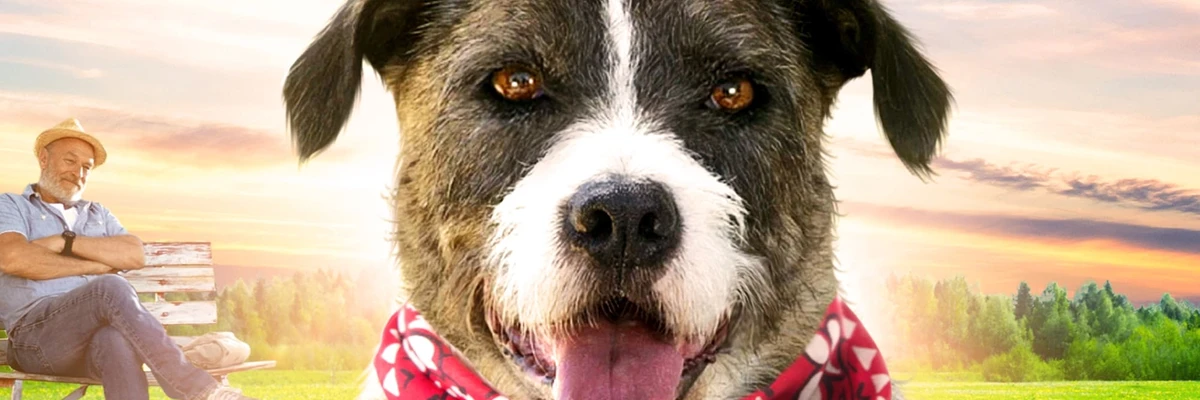 Bandas sonoras de Vida con perro