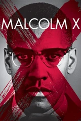 Bandes originales du film Malcolm X