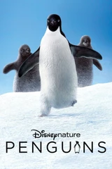 Soundtracks from Penguins