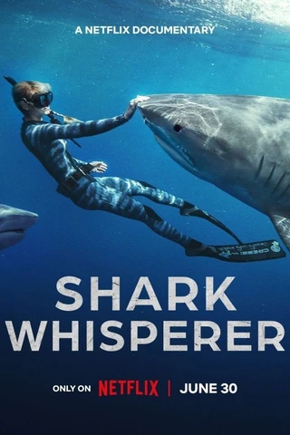 Shark Whisperer