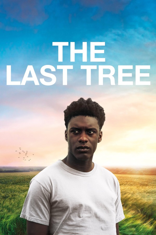 Soundtracks from The Last Tree