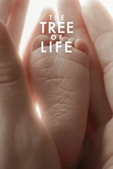Bandas sonoras de El árbol de la vida