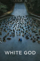 Soundtracks from White God