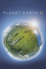 Musik aus der Serie Planet Erde II: Eine Erde - viele Welten