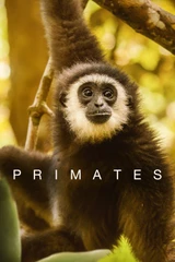 Musik aus der Serie Primaten